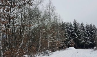 Narandžasti meteoalarm: Oblačno, jaka kiša i udari vjetra, na sjeveru snijeg