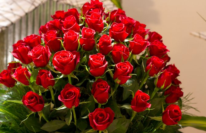 Slavimo pravo na slobodu, budite ponosne na zančajne pobjede liberalnih žena