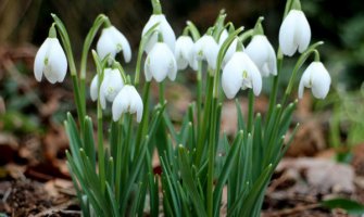 Sunčano, do 17 stepeni 