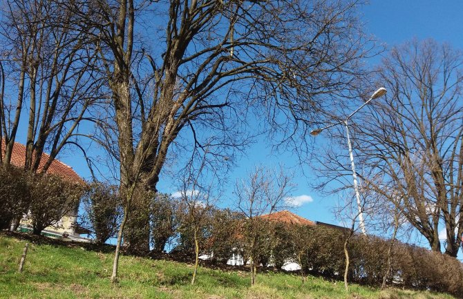 Danas sunce, tokom noći kiša