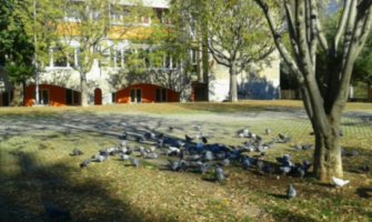 Roditelji ogorčeni: Otkaz učiteljici koja je 5 godina našoj djeci bila kao roditelj