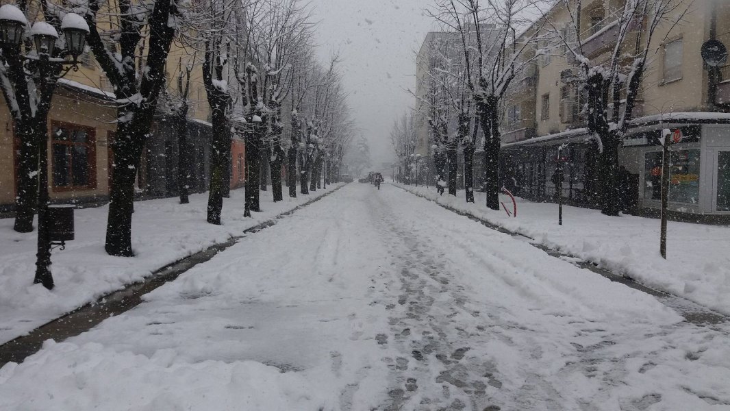 29250819102090551950555311633947481o