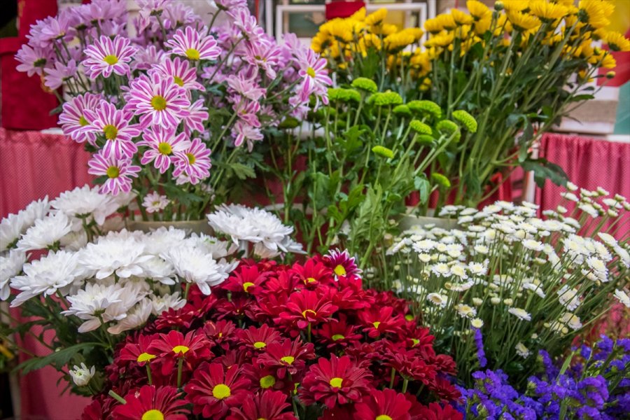 2018032422942710432006138Web