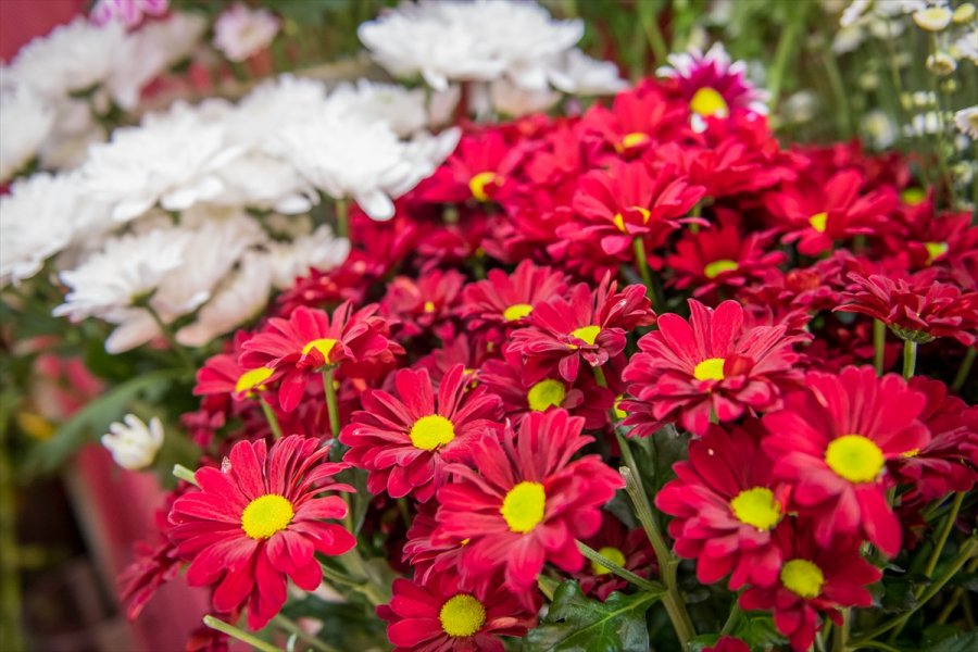 2018032422942710432006139Web