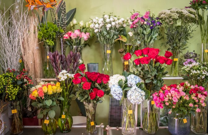 Crnogorka državni posao zamijenila cvjećarom (FOTO)