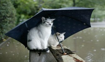 Oblačno sa kišom, na sjeveru snijeg