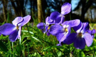 Danas pretežno sunčano, do 19 stepeni