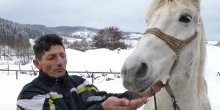 Konj Zekan najviše voli da jede bosanske ćevape (VIDEO)