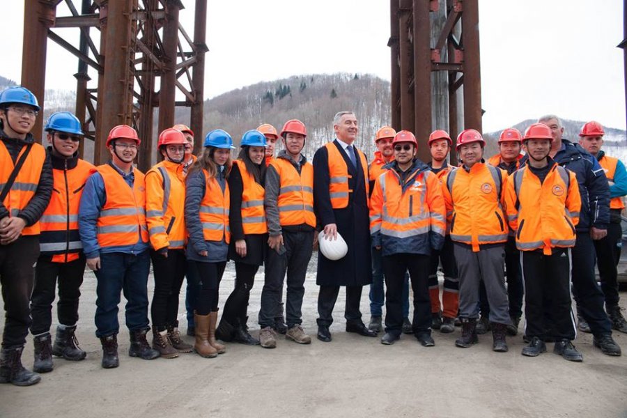 2969468619059431394239758383019516004695099n