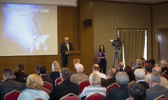 Ostojić: U Crnoj Gori iskorišćeno samo oko 22% raspoloživog hidropotencijala