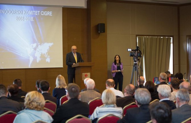 Ostojić: U Crnoj Gori iskorišćeno samo oko 22% raspoloživog hidropotencijala