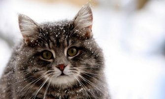 Za vikend kiša, u nedelju na planinama moguć snijeg 