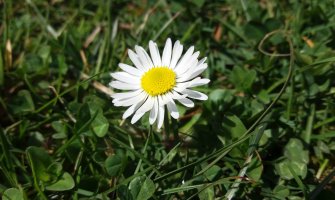 Danas pretežno sunčano, do 21 stepen