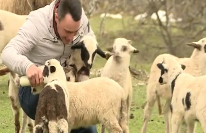 Neženja sa Durmitora: Neće žene na selo, više vole taksiste, penzionere...