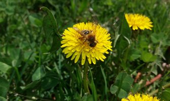 Danas sunčano, u drugom dijelu dana ponegdje kiša