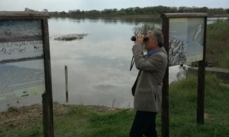 Bojanić: Ulcinjanima vratiti maslinjake i obnoviti Solanu