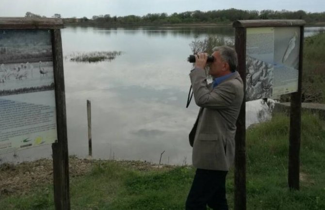 Bojanić: Ulcinjanima vratiti maslinjake i obnoviti Solanu