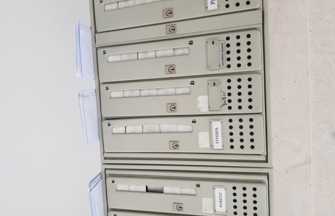 Bošnjak: Đukanoviću ne odgovara velika izlaznost pa se pozivi dostavljaju nakaradno