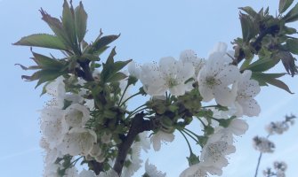 Oblačno, lokalno moguća kiša