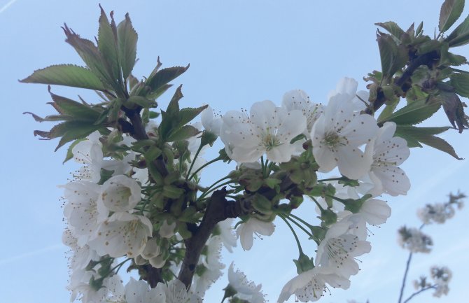 Oblačno, lokalno moguća kiša