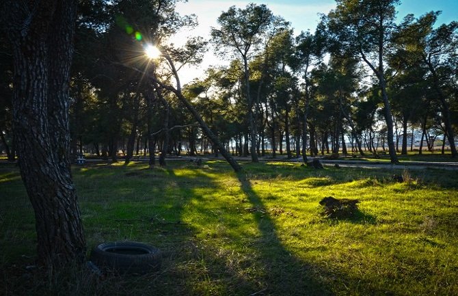 Podgoričanin pretukao desetogodišnjaka pa pokušao da ga ugura u auto?