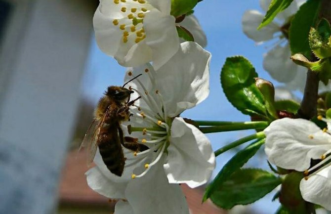 Evo kakvo nas vrijeme očekuje za vikend