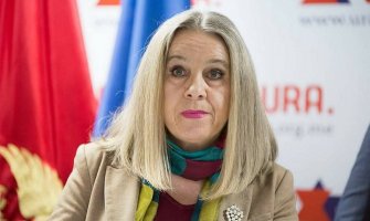 Jelušić: Bilbordi u Budvi štetni, oni su privatna stvar DF-a iza njih ne stoji grad Budva