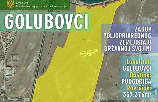  Podižu se novi kompleksi maslinjaka, vinograda, zasada smilja i prerađivački pogoni