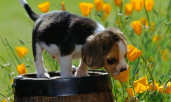 Danas relativno toplo vrijeme za ovo doba godine, do 32 stepena 