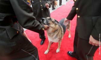 Uz zvuke nacionalne himne 61 policijski pas ispraćen u penziju (FOTO)