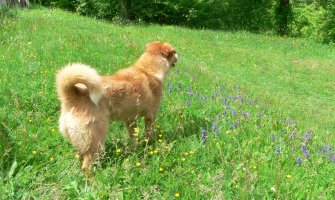 Na jugu sunčano, na sjeveru kiša