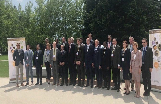 Simović: Da slavimo i štitimo pčelu