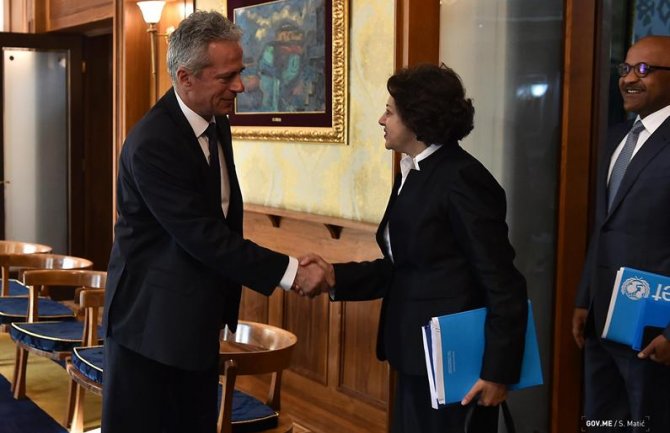 Crna Gora lider u regionu kada je u pitanju deinstitucionalizacija smještaja djece uzrasta od 0 do 3 godine