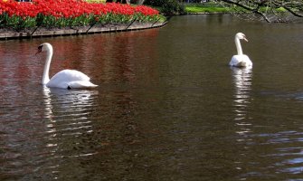 Pretežno sunčano i toplo, do 33 stepena