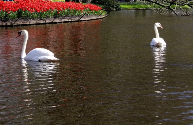 Pretežno sunčano i toplo, do 33 stepena