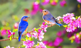 Danas sunčano i toplo, temperatura do 32°C