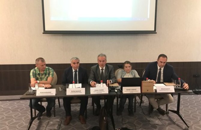 Purišić: Lica sa invaliditetom potrebno uključivati u sve oblasti društva na ravnopravnoj osnovi