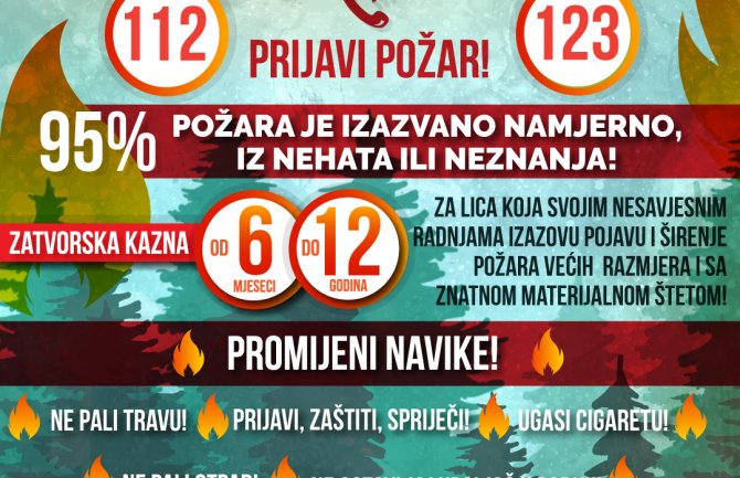 U 680 požara za sedam godina uništeno 80 000 hektara šume