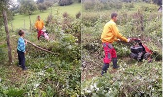 Pokošene bjelopoljske maline (VIDEO)