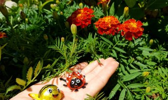 Sunčano i toplo, do 35 stepeni 