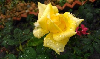 Danas sunčano, popodne moguća kiša