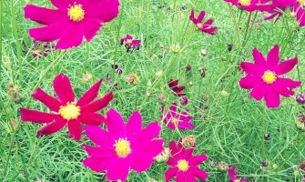 Evo kakvo nas vrijeme očekuje za dane vikenda