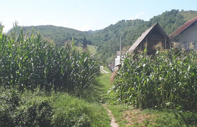 Državljani Srbije ilegalno ušli u CG, Ćatović uhapšen zbog pokušaja ubistva i ubistva