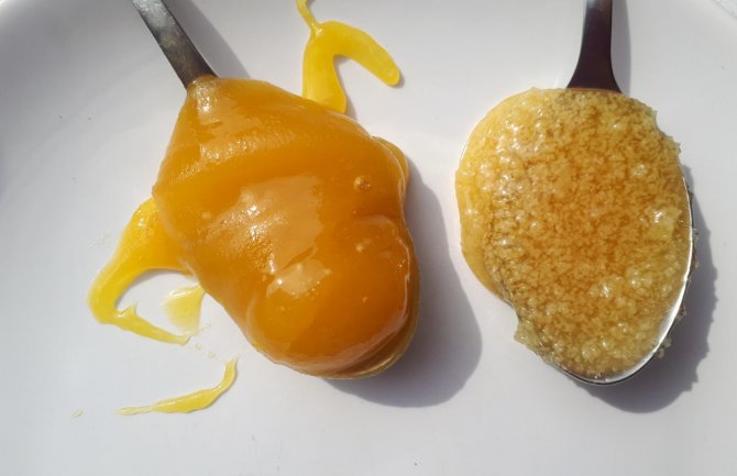 Pčelari podvalili kupcima: Prodavali šećerni sirup umjesto meda