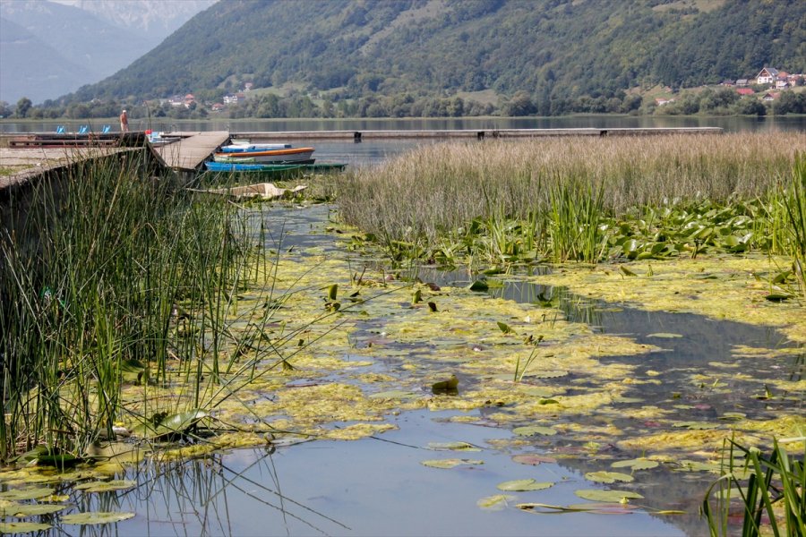 2018082623207602636681611Web