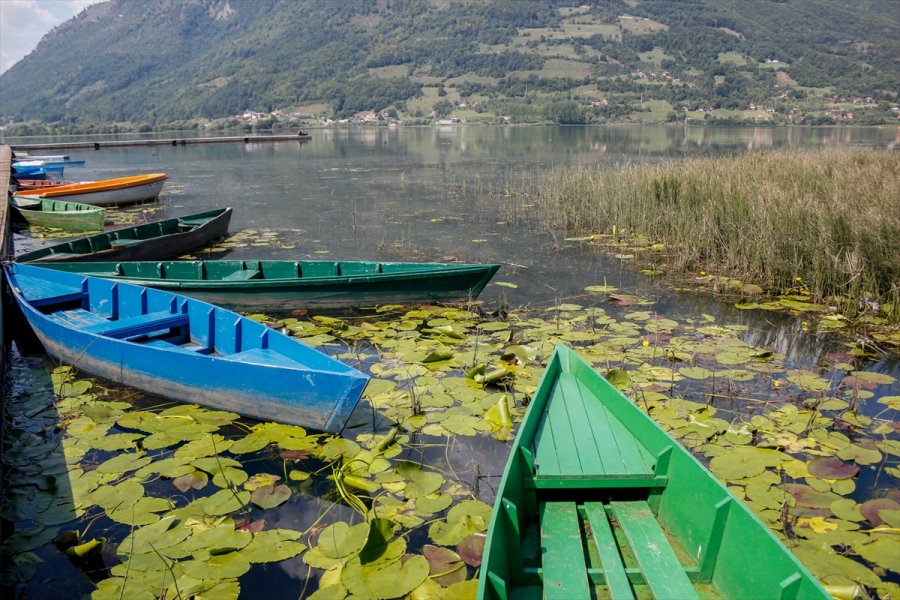 2018082623207602636681618Web