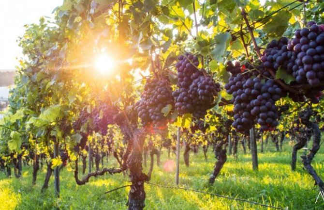 Evo kakvo vas vrijeme očekuje prvog septembarskog dana