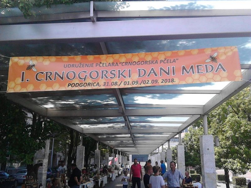 40465533263373327620784262497822627069952n