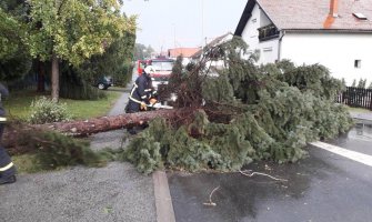 Dijelovi Hrvatske pogođeni nevremenom: Vjetar oborio stabla, grad usjeve(FOTO)