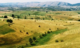 77-godišnja starica ubijena zbog 400 eura, ubica došao s teritorije Crne Gore?